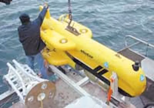 What are IRM underwater services?