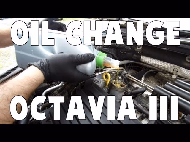 How to replace oil filter on Skoda Octavia 1z5?