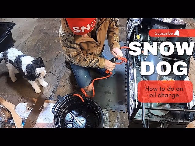 Does Snowdog have reverse gearbox oil?