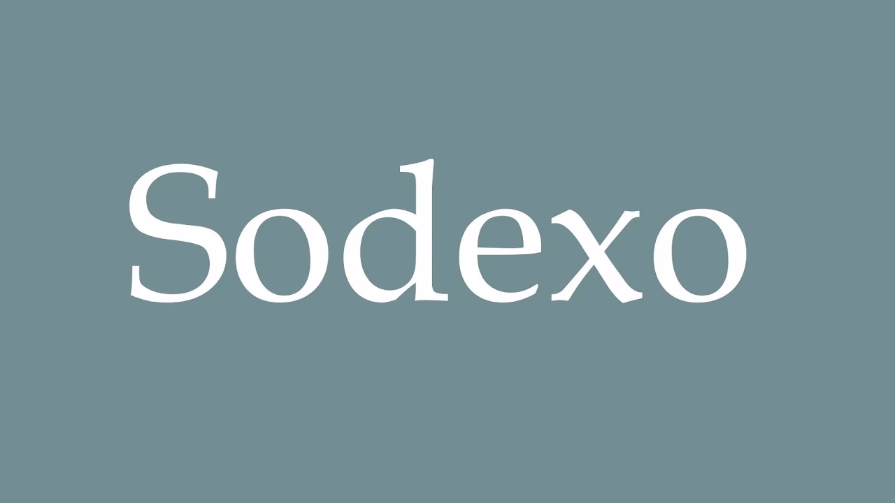 Who is Sodexo motorisation solutions?