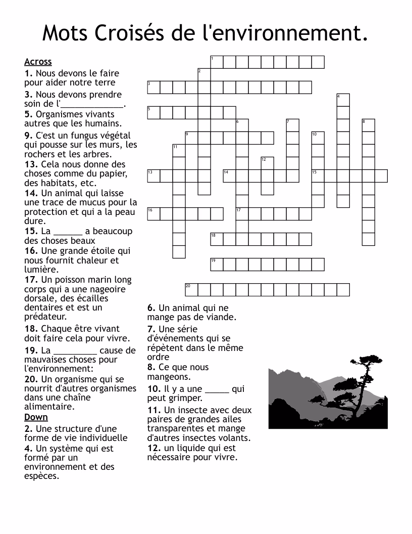 Quel est le rôle de l'estomac dans la digestion?