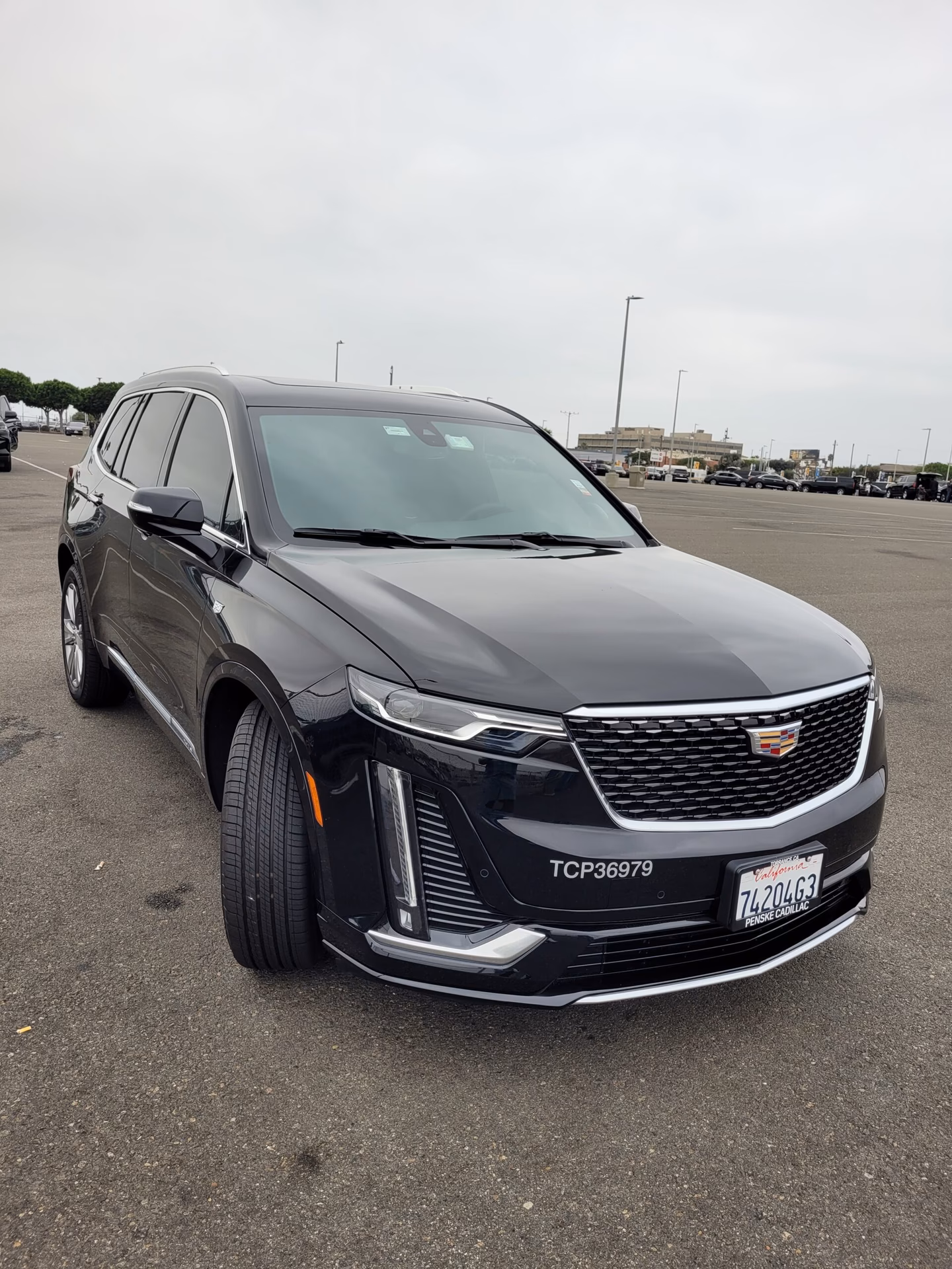 What types of passenger carrier services are available to TCPs?