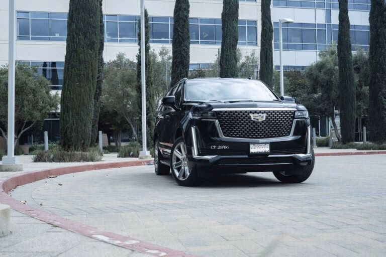 Is there a wine limo tour in Temecula?