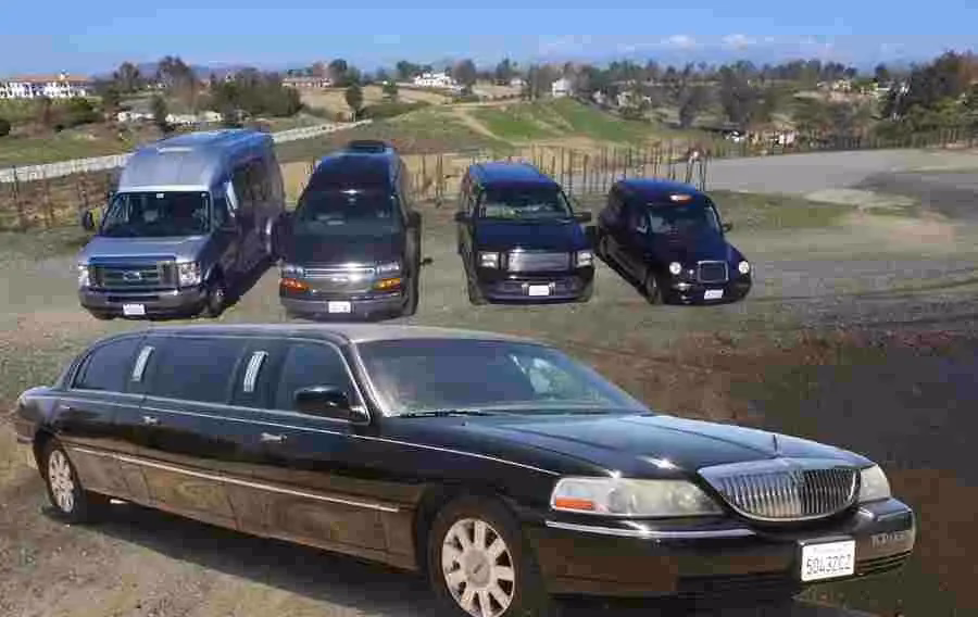 Can a chauffeur take you on a wine tour in Temecula?