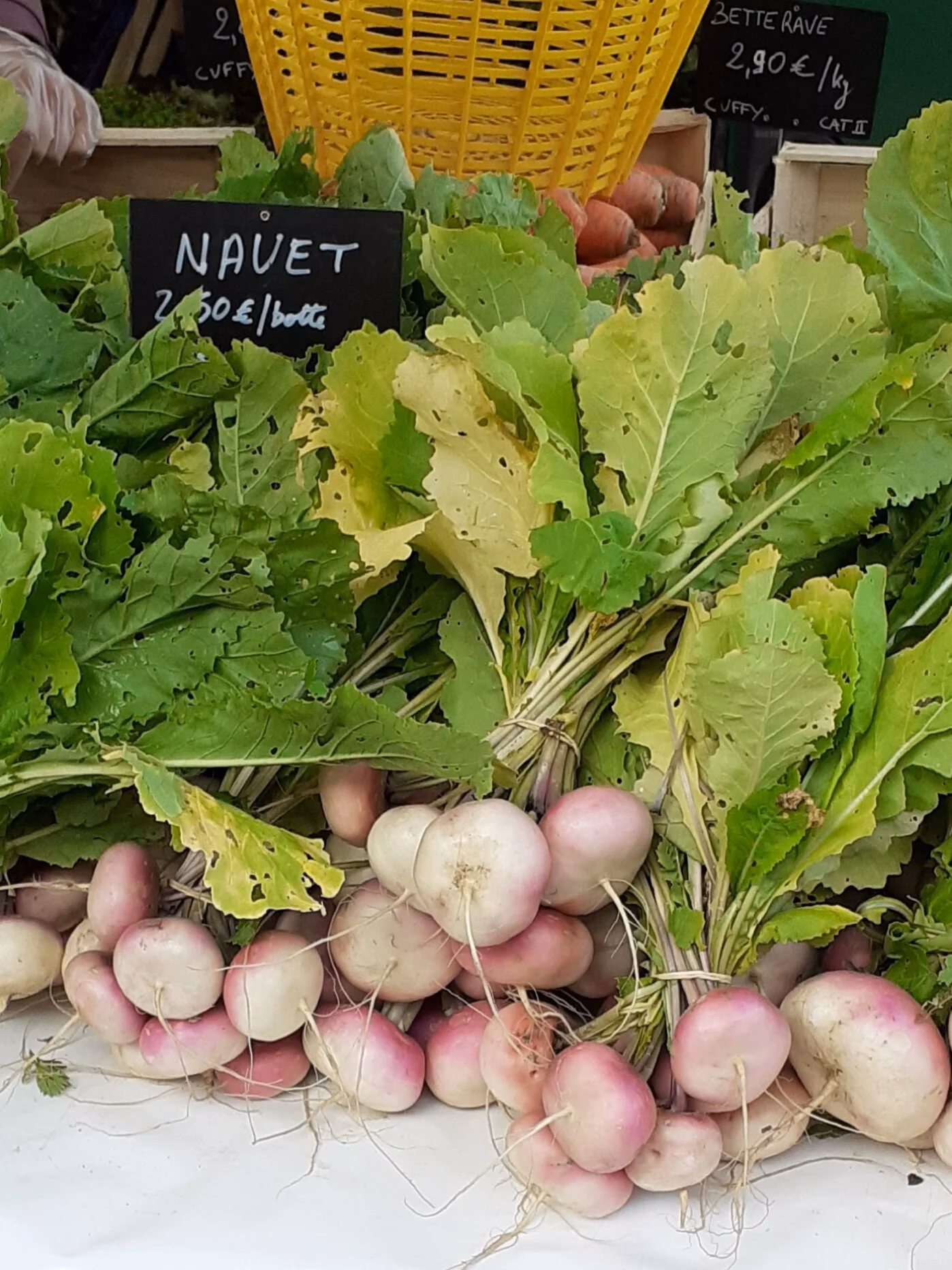 Quelle est la définition du mot navet?