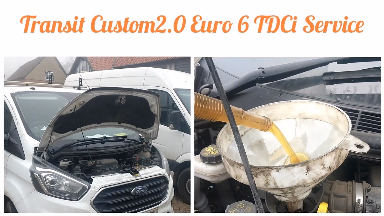 How much oil does a Ford Transit Custom V362 Van (FY) need?