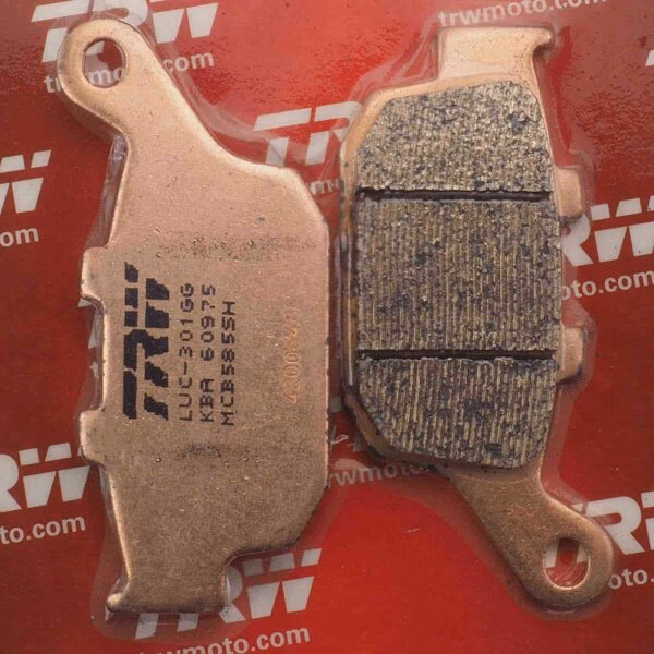 What are the features of Triumph Tiger 900 rally pro?