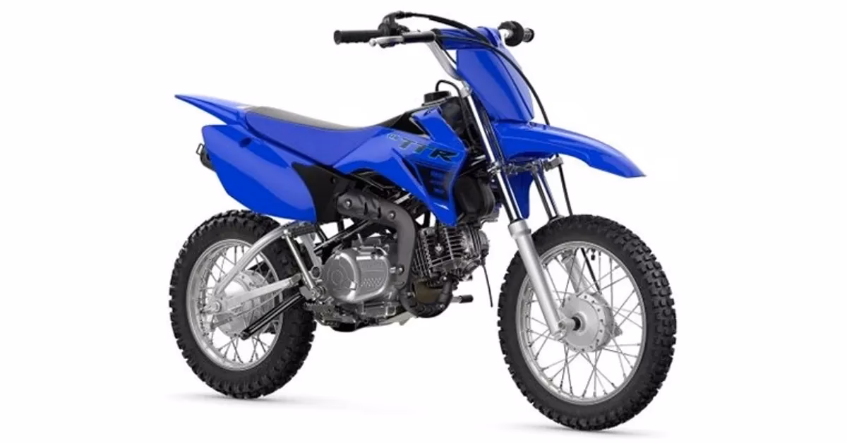 What makes a ttr110 a good car?