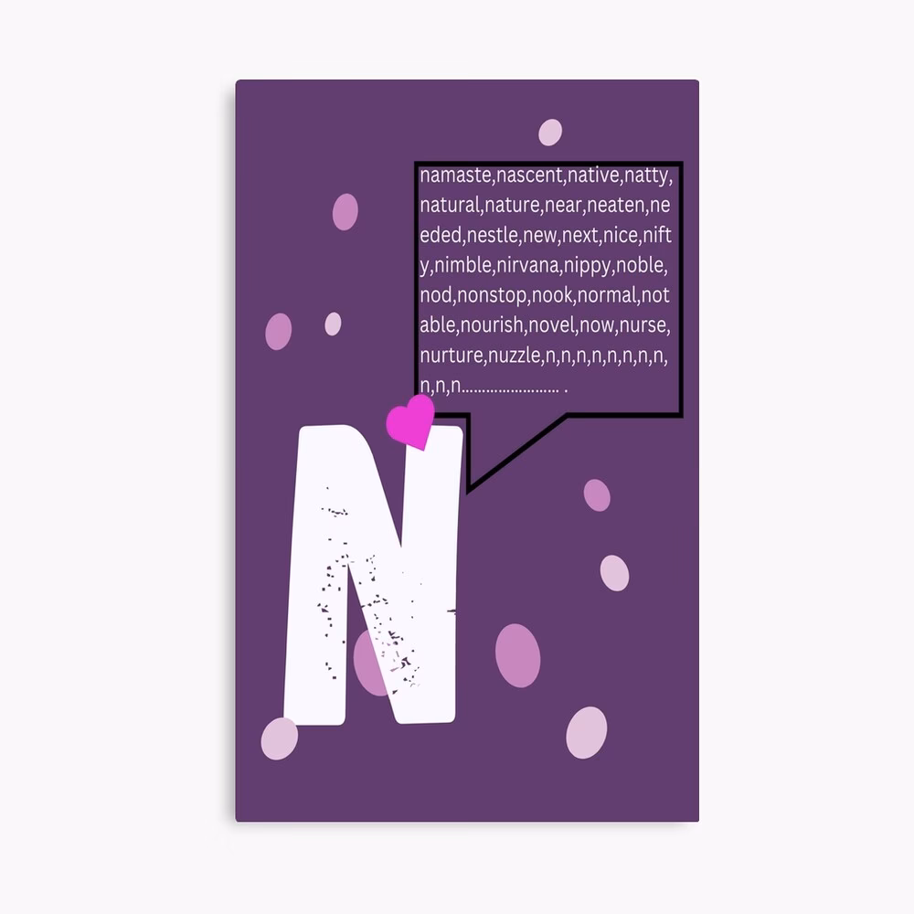 Quels sont les adjectifs qui commencent par la lettre N ?