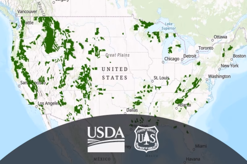 How often do National Forests publish mvums?