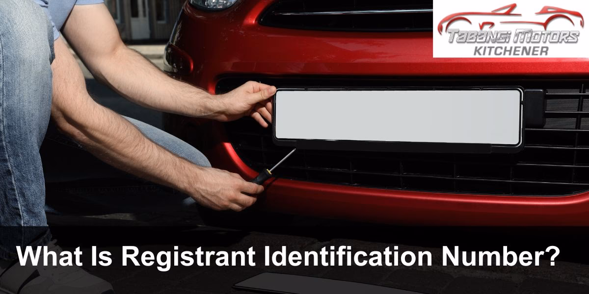 What is a V5C document reference number?