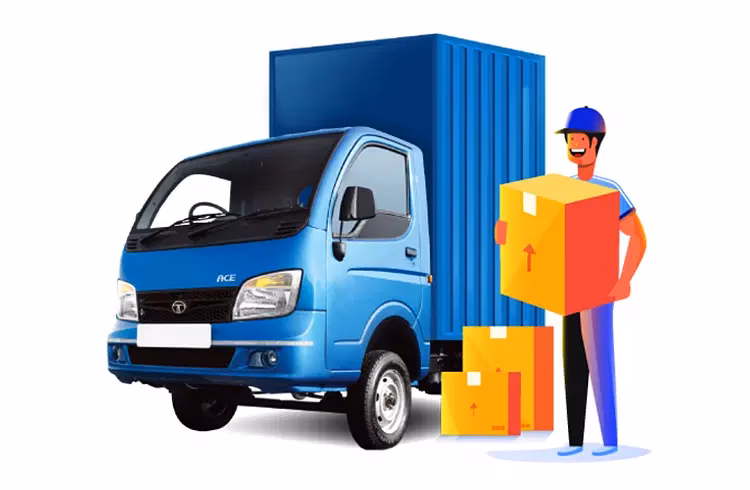 What services does a car transport company offer?