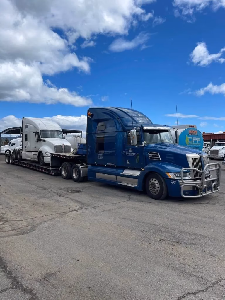 How does driveaway work?