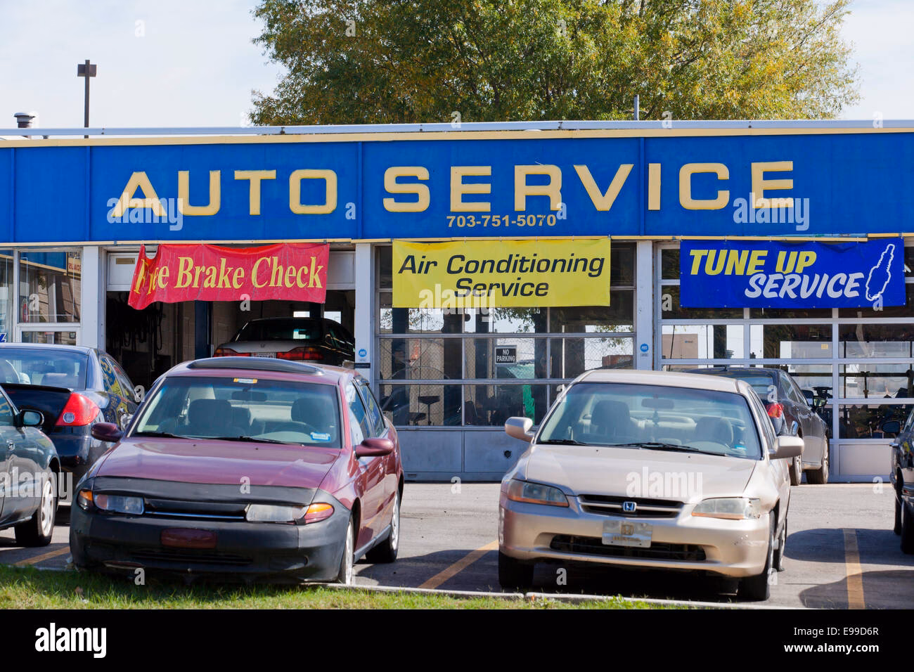 What services does the Virginia DMV offer?