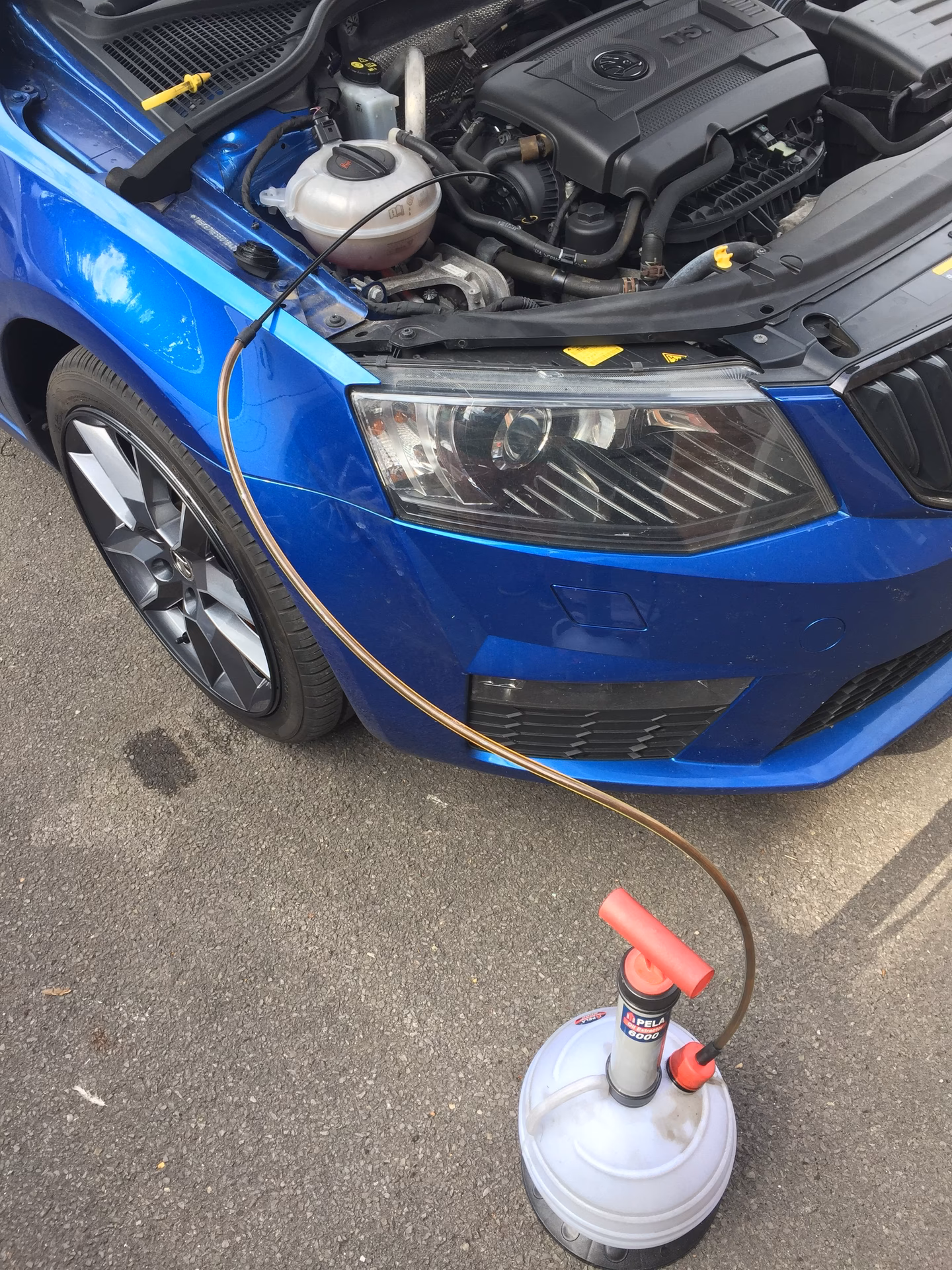 What oil should a VW 508 00/ 509 00 use?