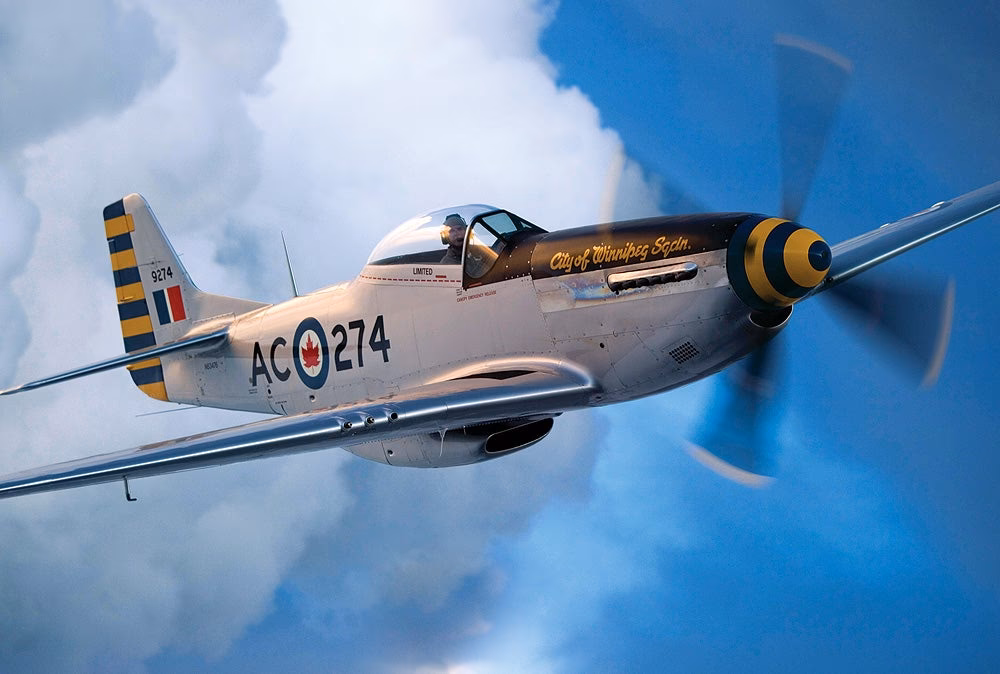 When did the P-51 become a fighter aircraft?