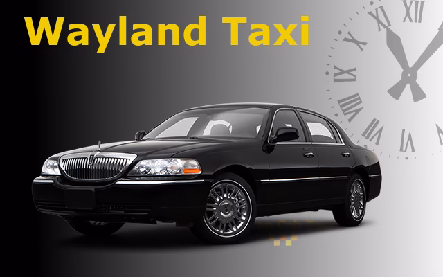 Why should you choose Wayland Auto?