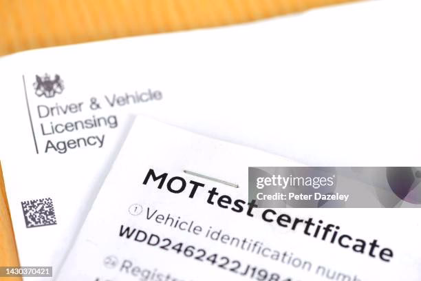 What are the responsibilities of a vehicle importer in Israel?
