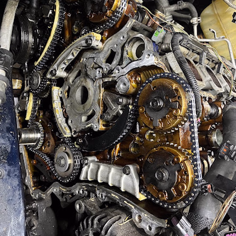 Who is the best auto repair center in Troy Michigan?