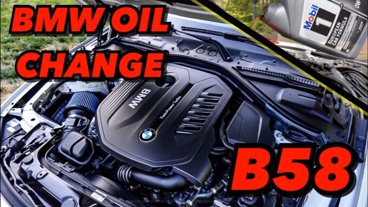 How often should a BMW fuel filter be changed?