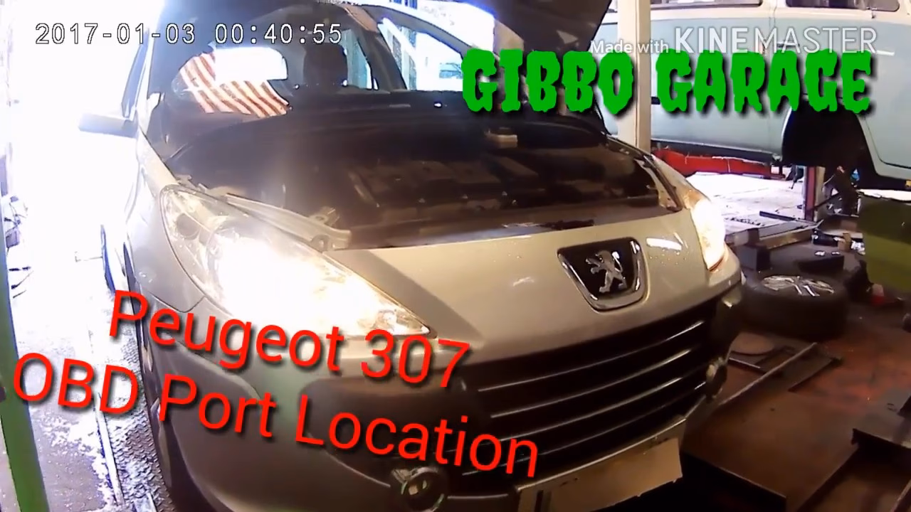Where is the OBD2 port on a Peugeot 307?