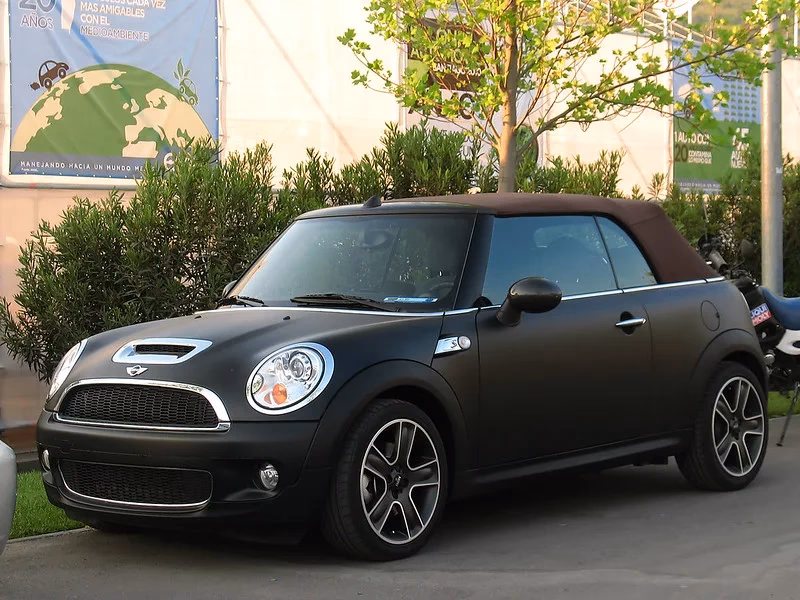 Are Minis expensive to maintain?