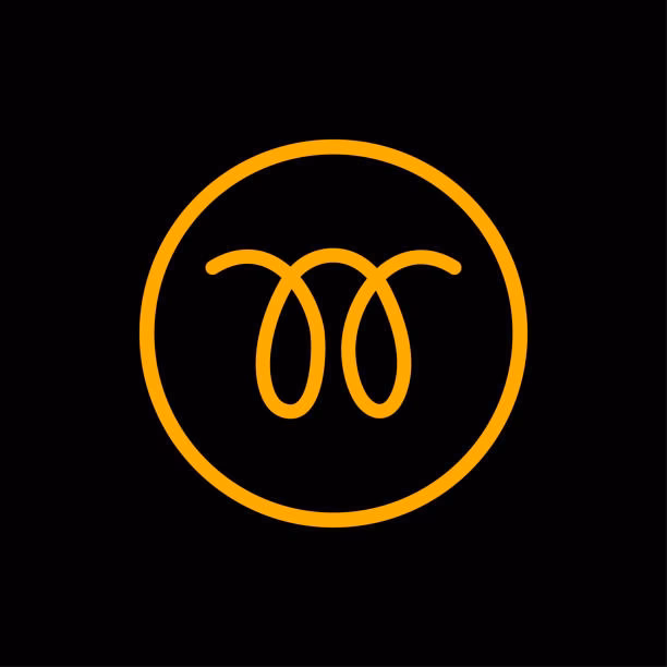 What happens if you put oil on your engine?