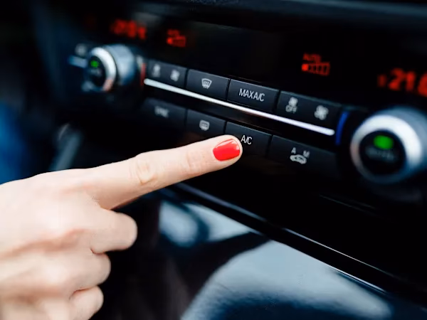 How do reviewers feel about the service provided?