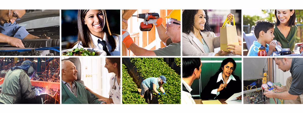 What types of car insurance does zenith offer?